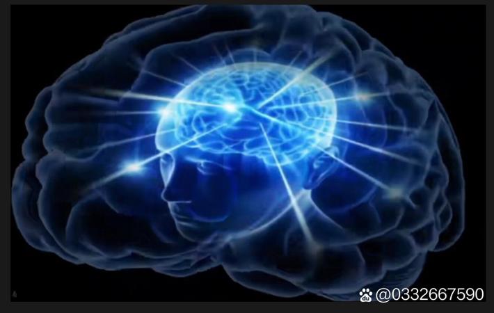 911吃瓜 - 某头部MCN机构被曝KPI压榨：主播每天直播12小时仍被罚款